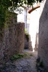 DSC01929.jpg