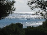 IMG_5879.jpg