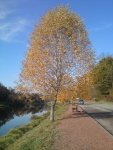 DSC00814.jpg