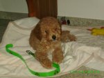 IMGP0013.jpg
