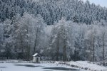 IMG_6373.JPG
