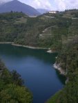 DSCN7124.jpg