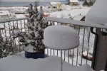 18.12.2010 001.jpg