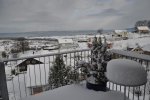 18.12.2010 002.jpg