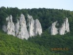 IMG_7513.jpg