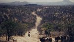 2namibia1994.jpg