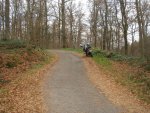 DSC01500.jpg