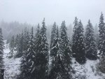 IMG-20201011-WA0001.jpg