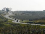 035 D253 südl Andlau (1) (Large).jpg