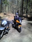 2011-03-06.jpg