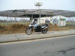 P1010050.jpg
