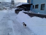 20201229_085653.jpg