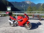 Duc (46).jpg