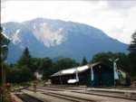neu-1.jpg