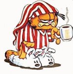 Garfield.jpg