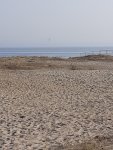 20210303_135905.jpg