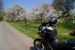 DSC02310.jpg