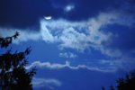 DSC_1050.jpg
