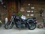 Harley15.jpg