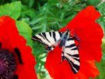 20210601_140649.jpg