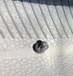 IMG_5535.jpeg