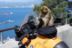 DSCF6297.jpg