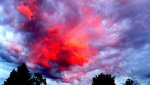 20210628_214746.jpg
