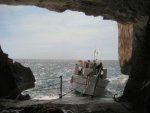 IMG_0876.jpg