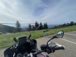 D74EC205-9758-4CD2-88AB-F380623D2455.jpeg