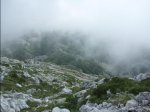 neu-2.jpg