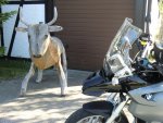 Tour am 25.05.20113.JPG