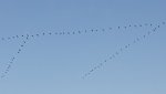 20211025_181257.jpg