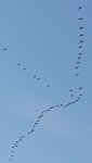 20211025_181316.jpg