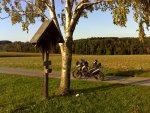 DSC00103.jpg