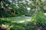 DSC03072.jpg