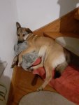 20220124_192021.jpg