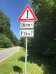 Biber.jpg