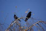 DSC03798.jpg