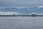 IMG_0293.jpg