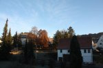 IMG_5619.jpg