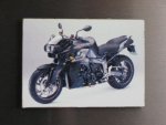 K1300R.JPG