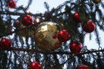 IMG_7298.jpg