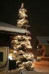 christbaum 017b.jpg