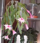 20220612_092536.jpg