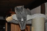 Suela 08.01.2012 065.jpg