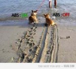 abs.jpg