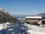 DSC04369.jpg