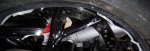 DSCN1359-1.jpg