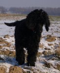 Ludwig 31.1.12.jpg