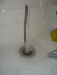 06.02.2012 002.jpg